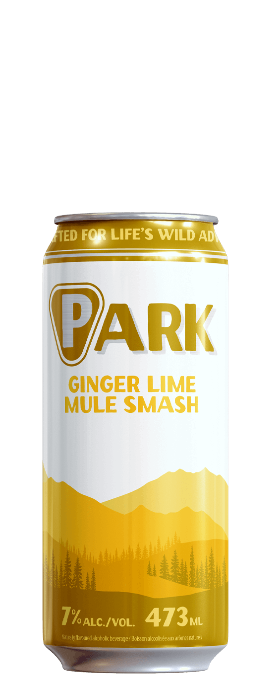 PARK GINGER LIME MULE SMASH